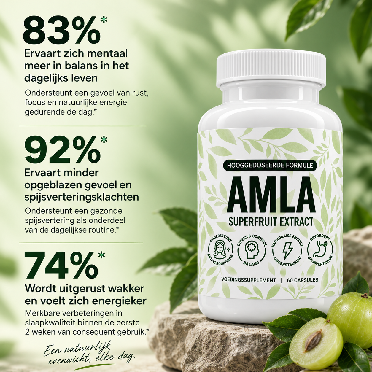 Elvantera Amla Superfruit