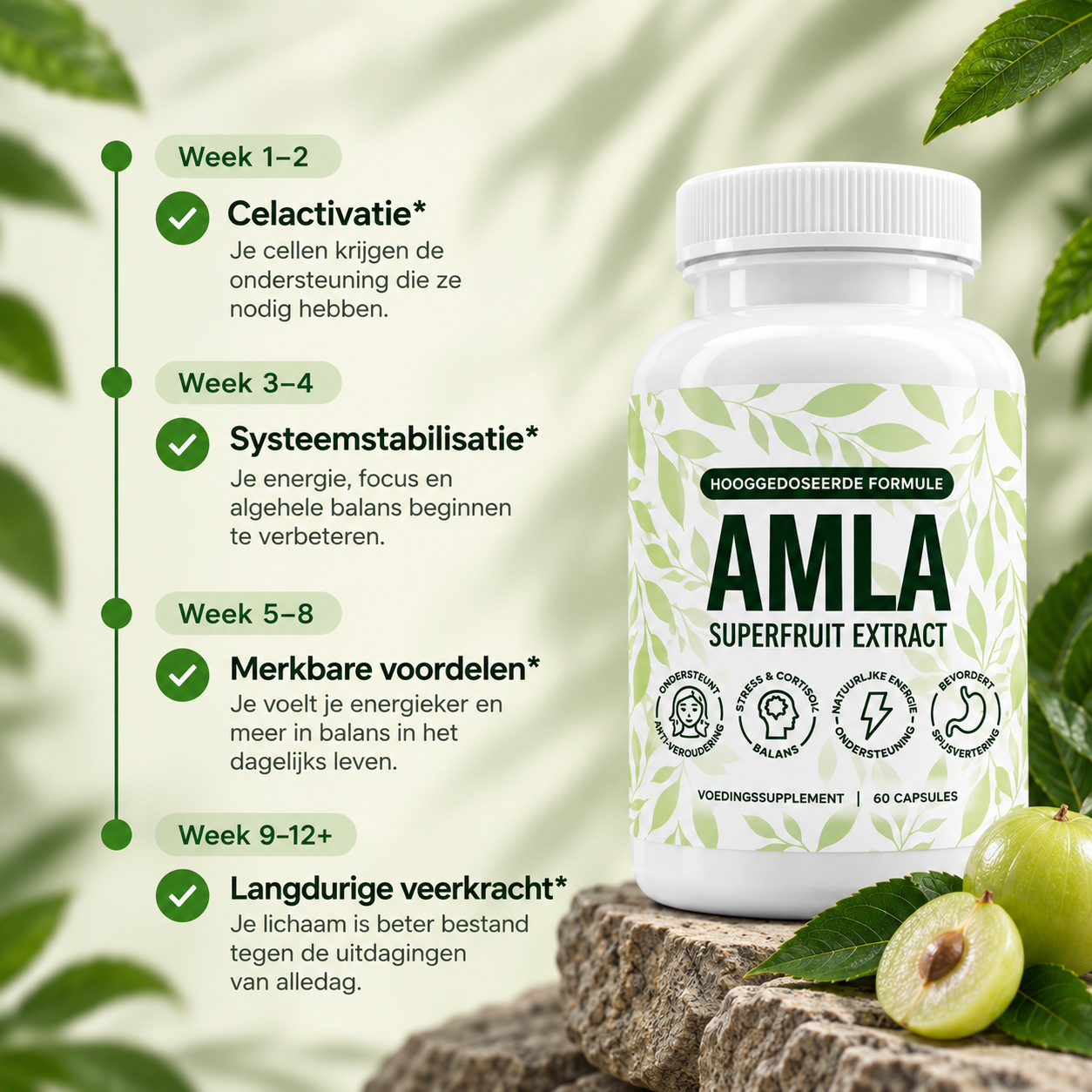 Elvantera Amla Superfruit