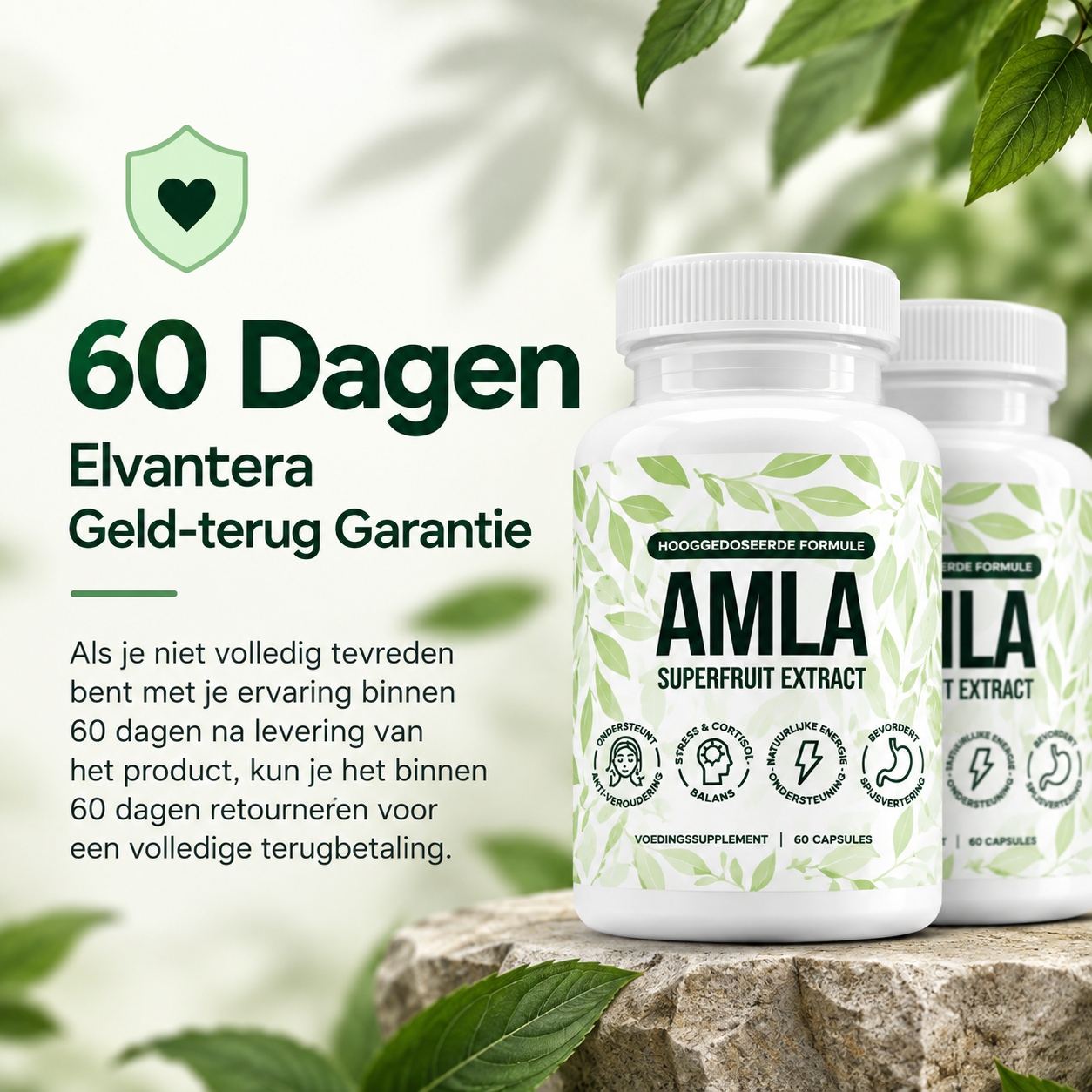 Elvantera Amla Superfruit